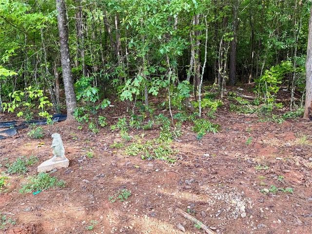6.9 Acres Rivertown Road, Fairburn, GA 30213