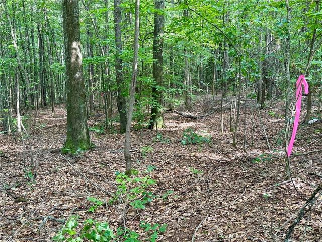 6.9 Acres Rivertown Road, Fairburn, GA 30213
