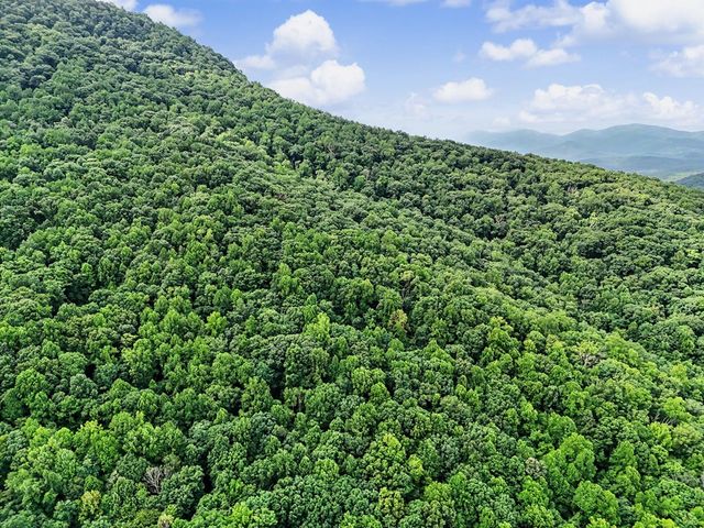 1583 Spring Cove Road, Blairsville, GA 30512