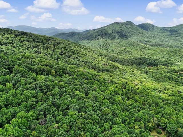 1583 Spring Cove Road, Blairsville, GA 30512