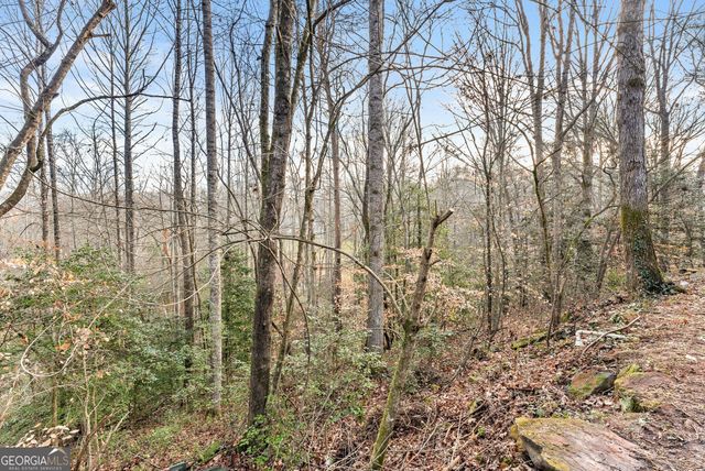 62 Dogwood Trail, Dahlonega, GA 30533