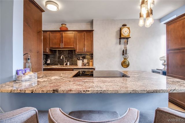 800 West Ferry Street 3B, Buffalo, NY 14222