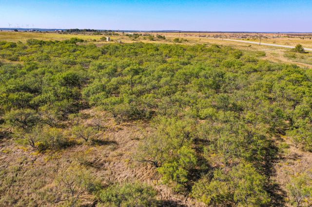 28.37 Acres 199 Highway, Jacksboro, TX 76458