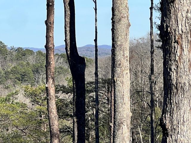 57 Deerfield Lane, Blue Ridge, GA 30513