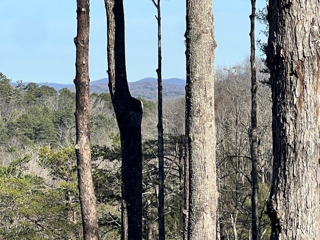 57 Deerfield Lane, Blue Ridge, GA 30513