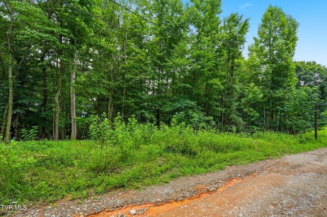 Tbd Carousel Pvt Drive, Kingsport, TN 37660