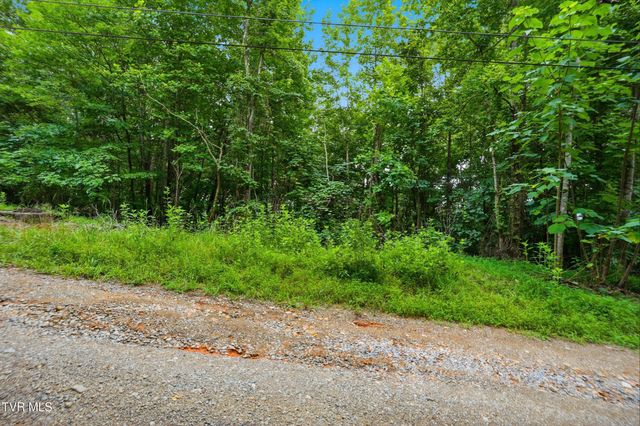 Tbd Carousel Pvt Drive, Kingsport, TN 37660