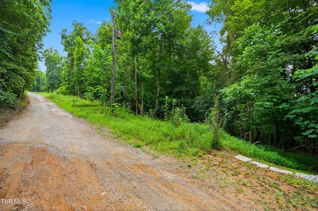 Tbd Carousel Pvt Drive, Kingsport, TN 37660