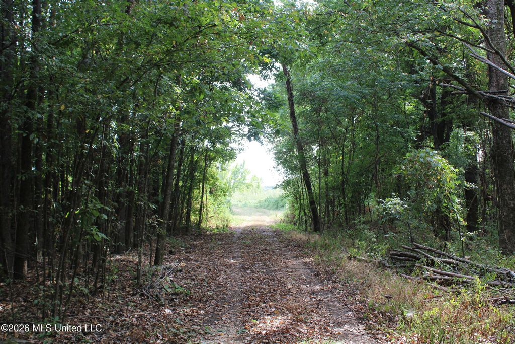 3 Horn Lake Road, Nesbit, MS 38651 — exterior