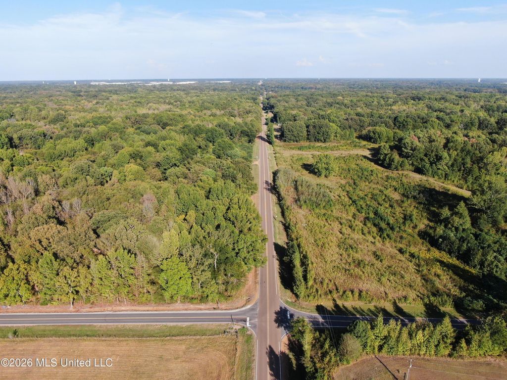 3 Horn Lake Road, Nesbit, MS 38651 — photo 5