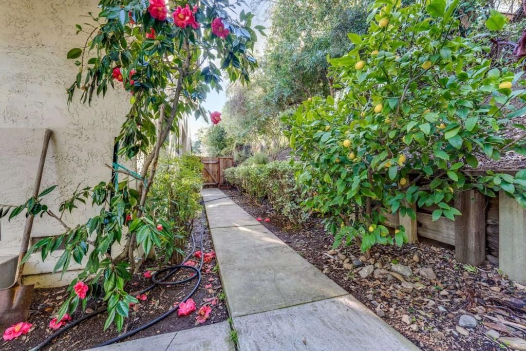 Image 36 of property listing at 10675 Clubhouse Lane, Cupertino, CA 95014