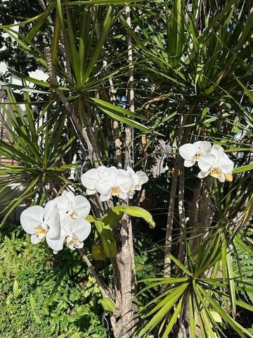 1405 Bridgewood Drive 1405, Boca Raton, FL 33434