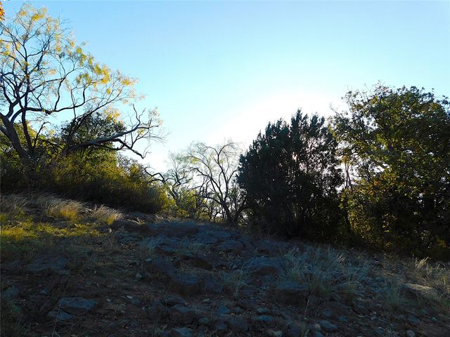 TBD County Road 131, Brownwood, TX 76801