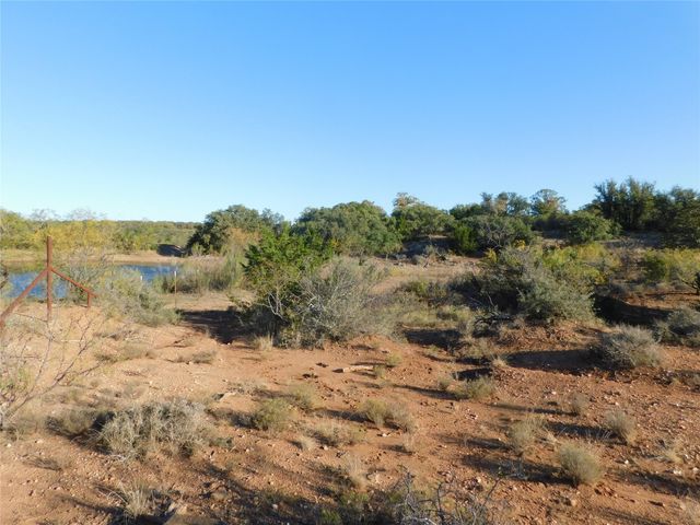 TBD County Road 131, Brownwood, TX 76801