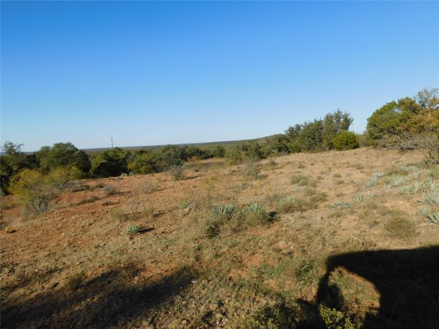 TBD County Road 131, Brownwood, TX 76801