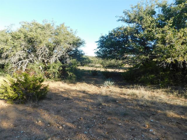 TBD County Road 131, Brownwood, TX 76801