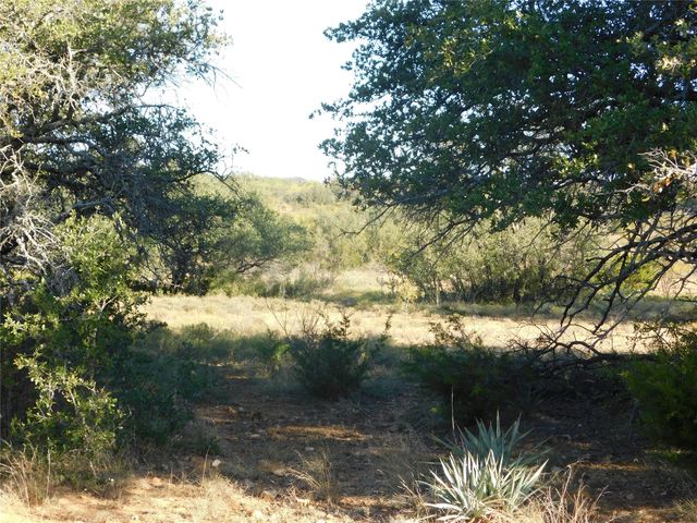 TBD County Road 131, Brownwood, TX 76801