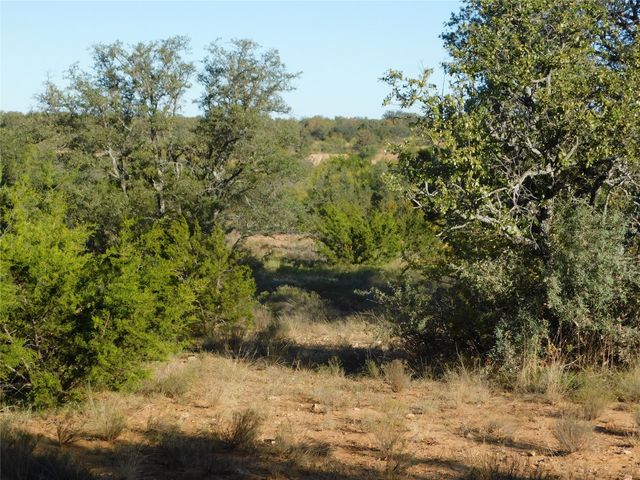 TBD County Road 131, Brownwood, TX 76801