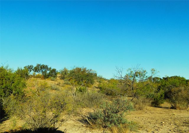 TBD County Road 131, Brownwood, TX 76801