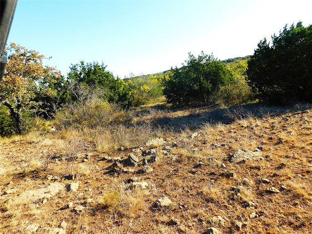 TBD County Road 131, Brownwood, TX 76801