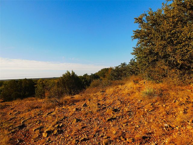 TBD County Road 131, Brownwood, TX 76801