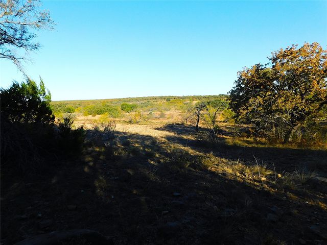 TBD County Road 131, Brownwood, TX 76801