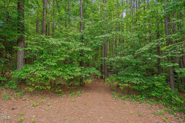 180 Great Woods Lane, Youngsville, NC 27596