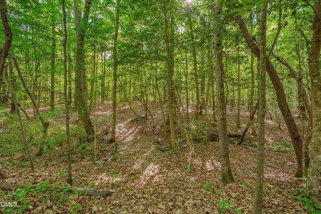 180 Great Woods Lane, Youngsville, NC 27596
