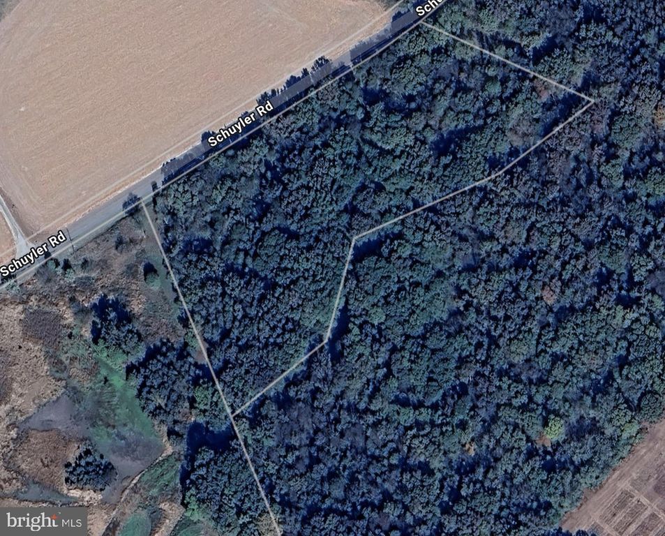 5.281 ACRES SCHULYER RD, Goldsboro, MD 21636