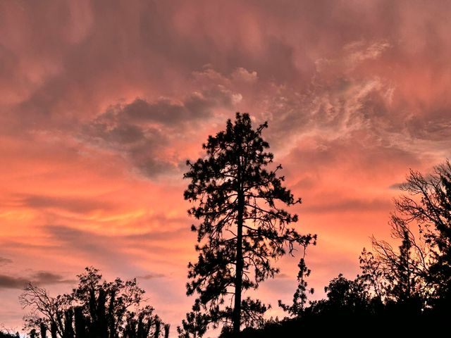 4730 W Griffin Creek Road, Medford, OR 97501