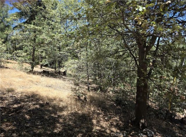 28276 Arbon, Lake Arrowhead, CA 92352