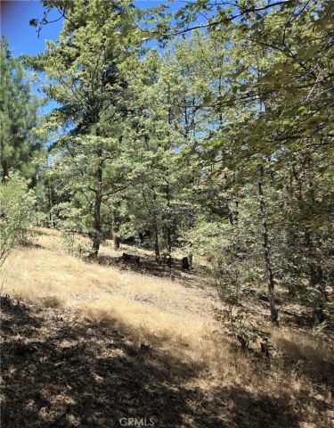 28276 Arbon, Lake Arrowhead, CA 92352