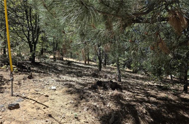 28276 Arbon, Lake Arrowhead, CA 92352