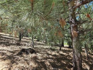 28276 Arbon, Lake Arrowhead, CA 92352