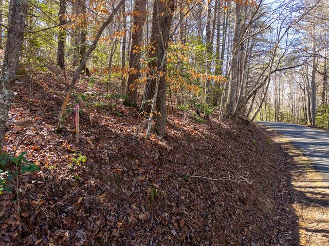 77 Big Pine Hill, Blairsville, GA 30512