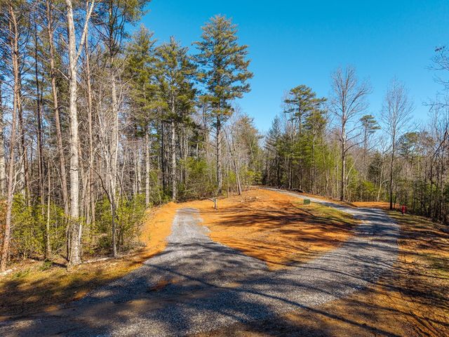 77 Big Pine Hill, Blairsville, GA 30512