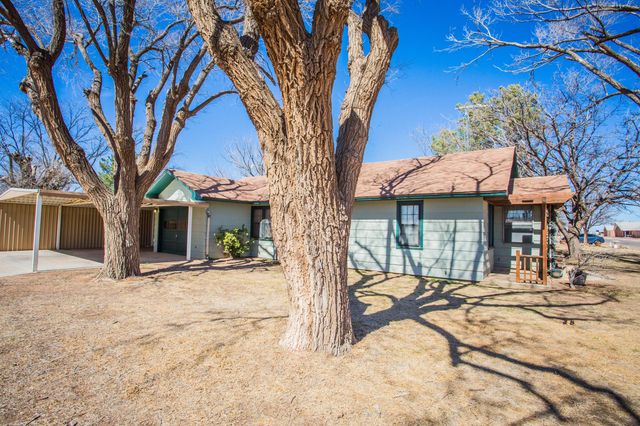 312 Avenue D, Olton, TX 79064