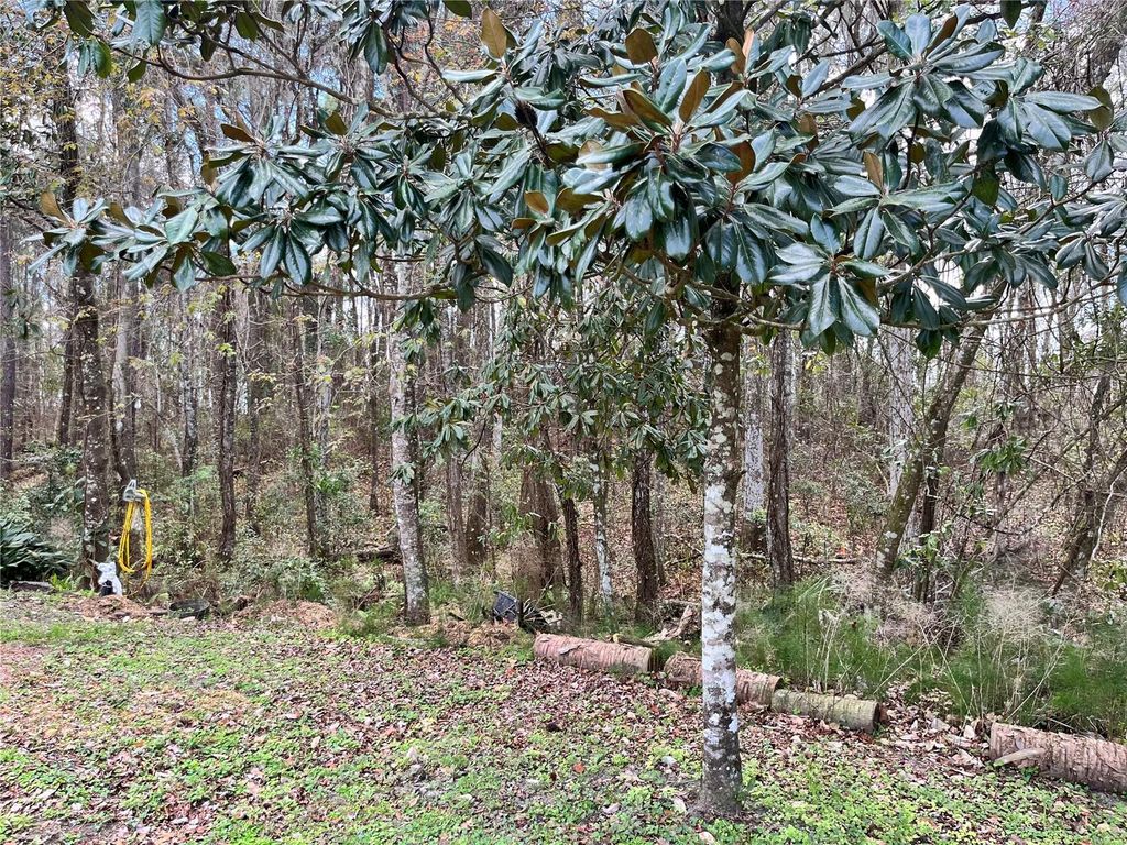 Image 12 of property listing at 5608 W COUNTY ROAD 240, Lake Butler, FL 32054