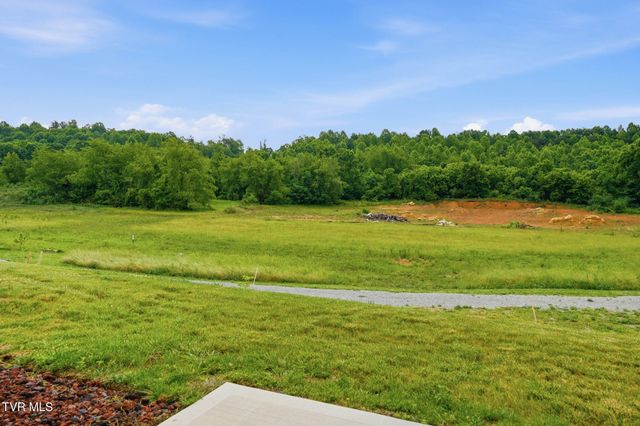 1047 Saylors Place 1047, Jonesborough, TN 37659