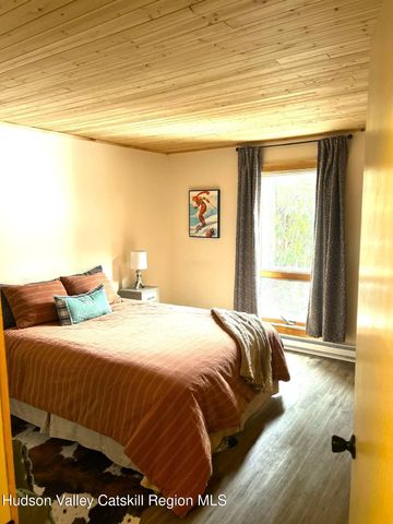 142 Hunter Drive Q8, Hunter, NY 12442