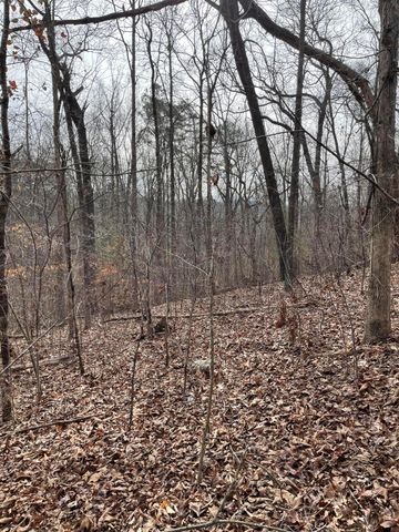 0 Swanson Road, Ringgold, GA 30736