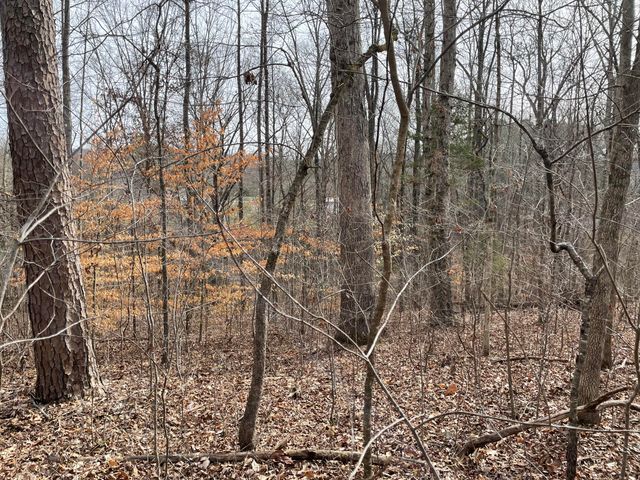 0 Swanson Road, Ringgold, GA 30736