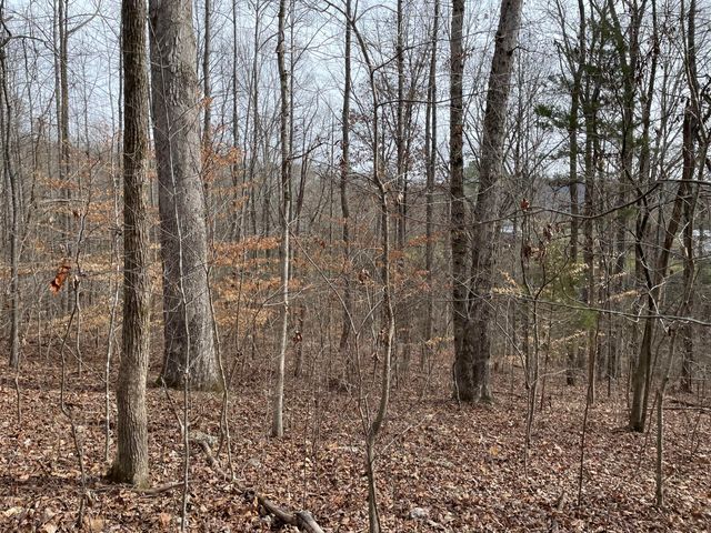 0 Swanson Road, Ringgold, GA 30736