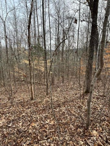0 Swanson Road, Ringgold, GA 30736