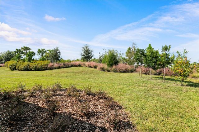 11292 KINGLY LANE, Odessa, FL 33556