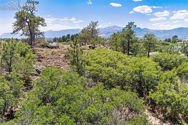 1725 Vine Cliff Heights, Colorado Springs, CO 80921