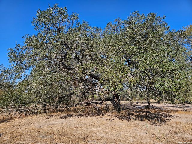 422 Pr Sunset Vista, Somerset, TX 78069