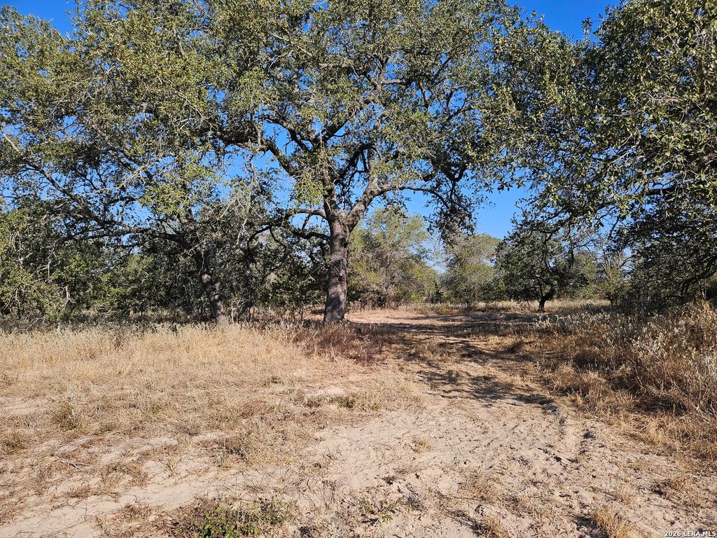 422 Pr Sunset Vista, Somerset, TX 78069