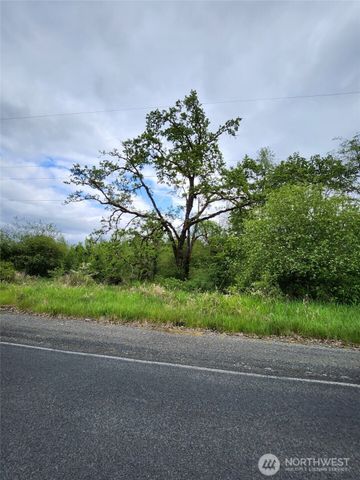 0 Henriot Road, Toledo, WA 98591