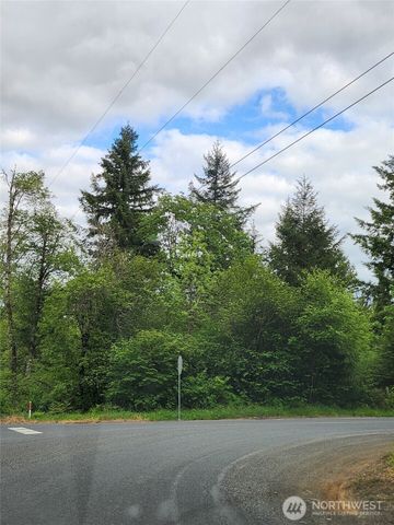 0 Henriot Road, Toledo, WA 98591